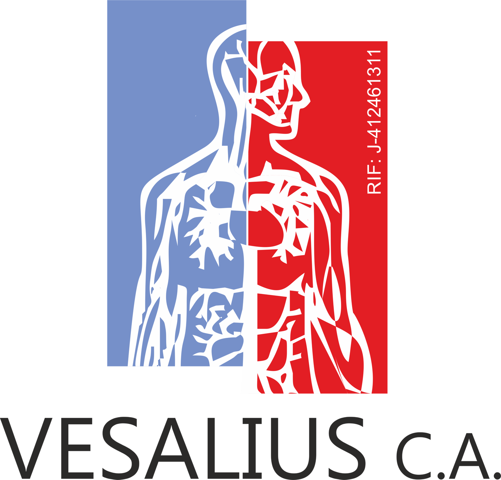 Centro Vascular Vesalius